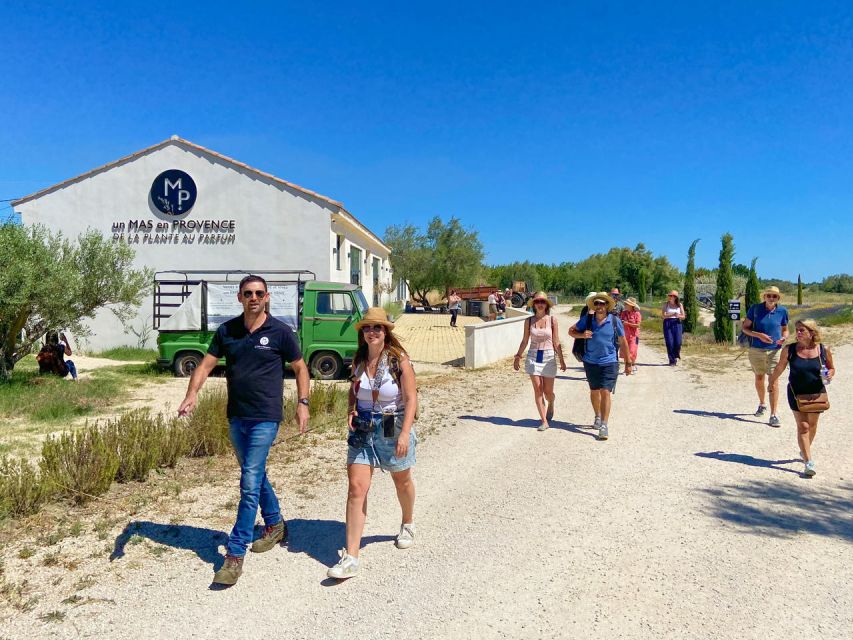 Lavender Field & Distillery Tour between Nimes & Arles - Watching the still turn flowers into oil