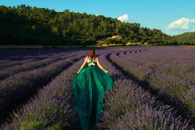 Lavender Field Photoshoot - Key Points at a Glance