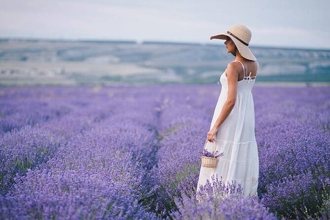 Lavender Fields Full Day Private Tour From Marseille - Why the Valensole lavender fields are worth the long day