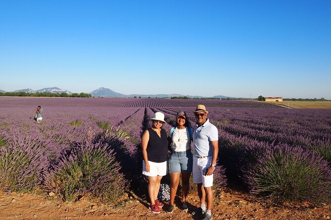 Lavender Fields Tour in Valensole from Marseille - What the small group changes