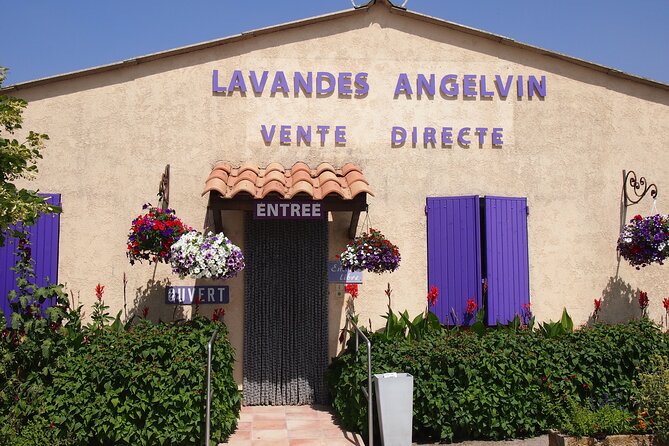Lavender Fields Tour in Valensole from Marseille - The Plateau de Valensole: fields, photos, and farm products