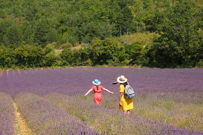 Lavender Full-day Tour in Sault From AIX-EN-PROVENCE - Key points at a glance