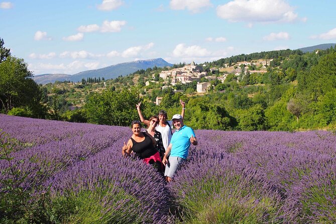 Lavender Full-day Tour in Sault From AIX-EN-PROVENCE - Lavender fields: beautiful, but only in the right month