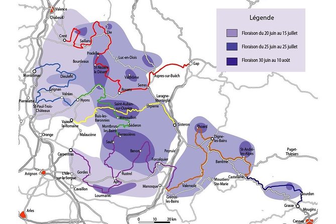 Lavender in Bloom : Unforgettable Provençal Stroll - Why the Valensole Plateau makes this a special day