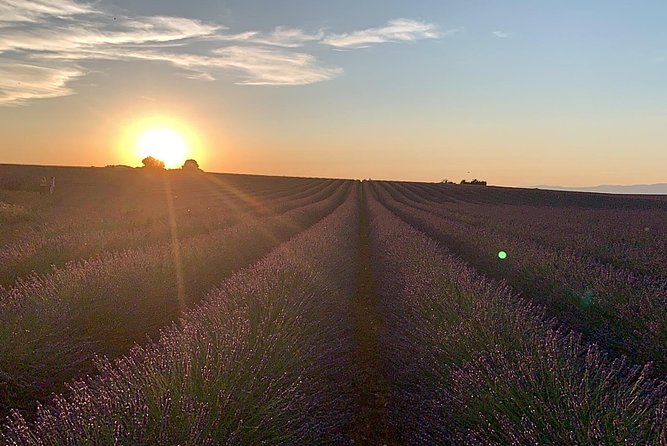 Lavender in Bloom : Unforgettable Provençal Stroll - Practical planning for a smoother day