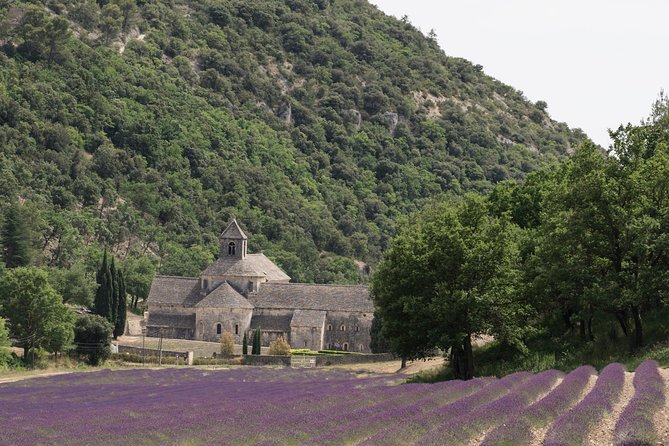 Lavender in Luberon Small Group Half-Day Trip - Leaving Avignon for the Luberon