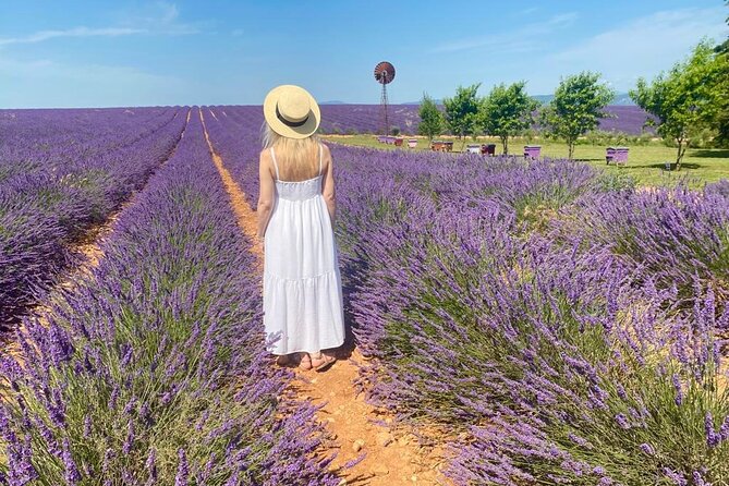 Lavender in Luberon Small Group Half-Day Trip - Roussillon: one hour among red ochre