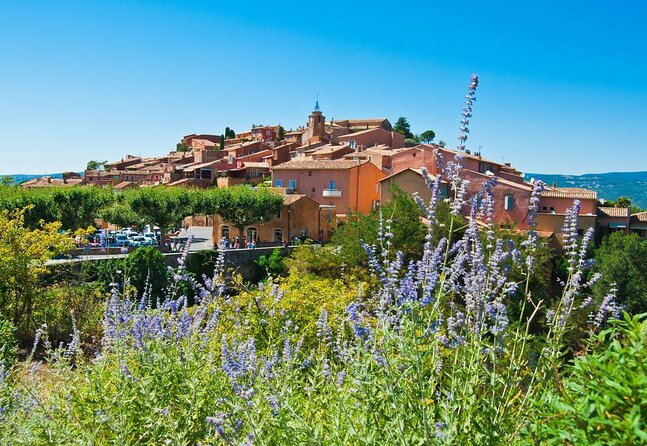 Lavender Route - Small-Group Day Trip from Avignon - Key points to know before booking