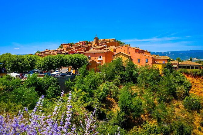 Lavender Route - Small-Group Day Trip from Avignon - Finding the best fields as the season changes