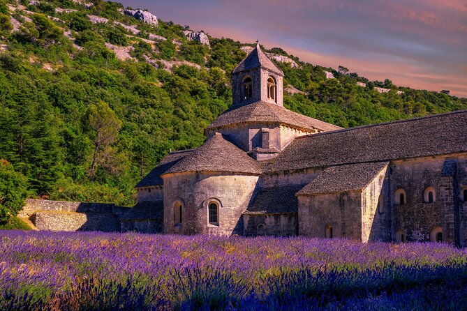 Lavender Route - Small-Group Day Trip from Avignon - Sénanque Abbey and the first lavender photographs