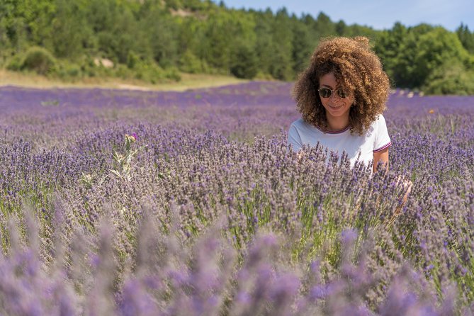 Lavender Small-Group Tour In Valensole from Marseille - Two hours among the lavender fields