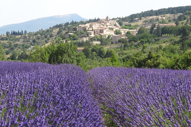 Lavender Tour Sault from Marseille - Why Sault is worth the long ride from Marseille
