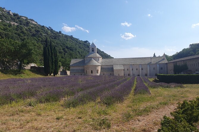 Lavender Tour Sault from Marseille - The guide can shape the whole experience