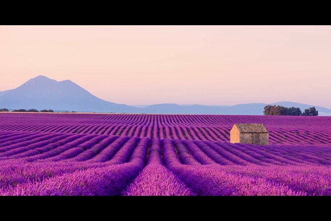 Lavender - Verdon Canyon - Castellane - Moustier - Small Group - Why this day works from Nice