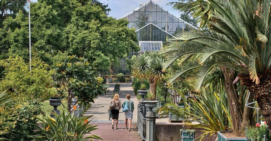 Leiden: Hortus botanicus Leiden Entry Ticket - Key points to know before you go