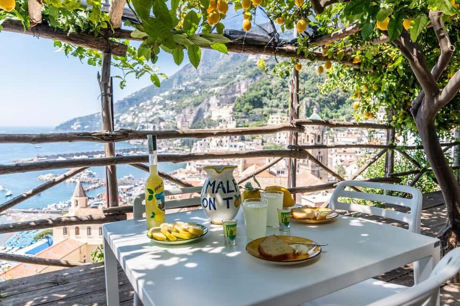Lemons & Breathtaking Views: Amalfi Monumental Garden Tour - Why this lemon grove tells Amalfi’s story
