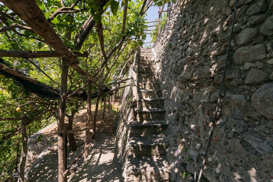 Lemons & Breathtaking Views: Amalfi Monumental Garden Tour - The elevator route and the stone-step backup
