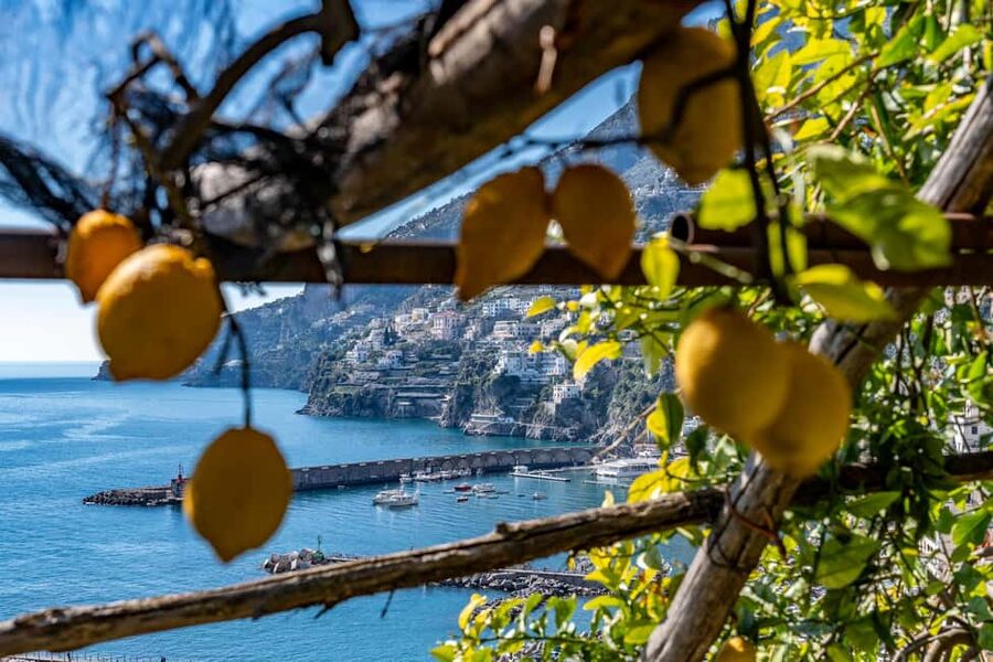 Lemons & Breathtaking Views: Amalfi Monumental Garden Tour - Who will enjoy this tour most
