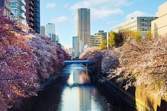 Licensed Guide Tokyo Meguro Cherry Blossom Walking Tour - A gentle introduction to Tokyo beside the Meguro River