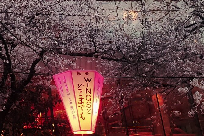 Licensed Guide Tokyo Meguro Cherry Blossom Walking Tour - Cherry blossom timing is the key risk