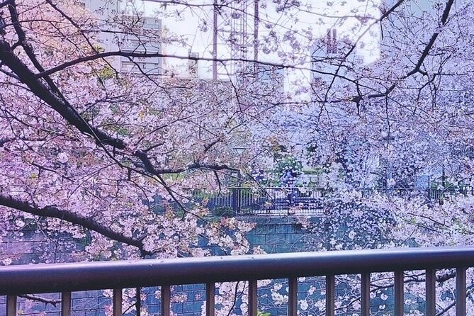 Licensed Guide Tokyo Meguro Cherry Blossom Walking Tour - Daienji and the memory of Edo’s great fire
