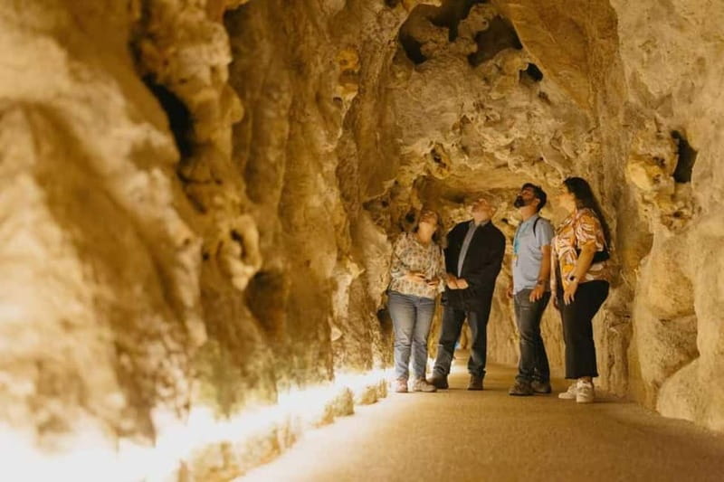 Lisbon: Sintra Tour with Optional Regaleira & Pena Gardens - Quinta da Regaleira and the Initiation Well