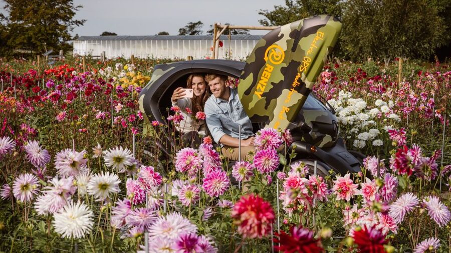 Lisse: Drive-it-Yourself Summer Flower GPS Audio Tour - Following the 35-kilometer flower route