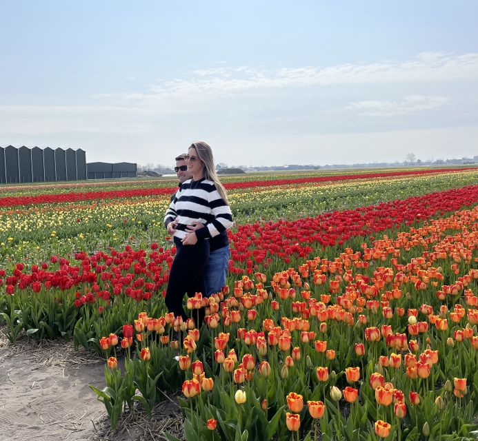 Lisse: Enjoy the Tulip Fields by Bike with a Local Guide! - The flower farm stop and show garden