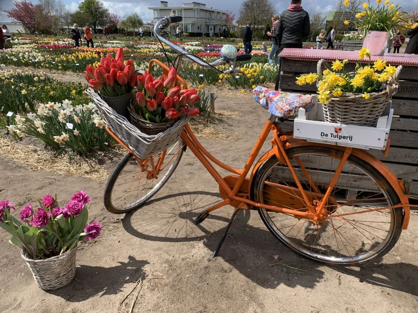 Lisse: Enjoy the Tulip Fields by Bike with a Local Guide! - Timing your ride for the best flowers