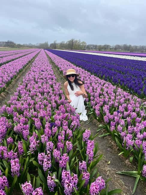 Lisse: Private Tulip Fields Tour with a Local Guide 1h Tour - Key details before you book
