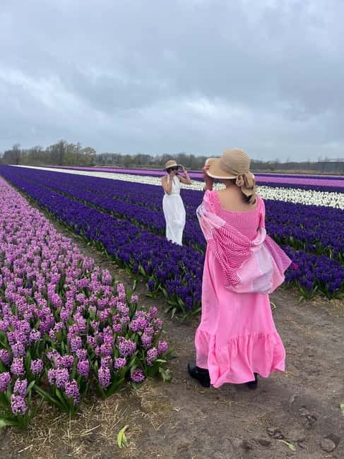 Lisse: Private Tulip Fields Tour with a Local Guide 1h Tour - Extending the outing with Dutch food