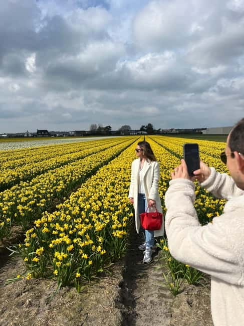 Lisse: Private Tulip Fields Tour with a Local Guide 1h Tour - Rain, timing, and the right expectations
