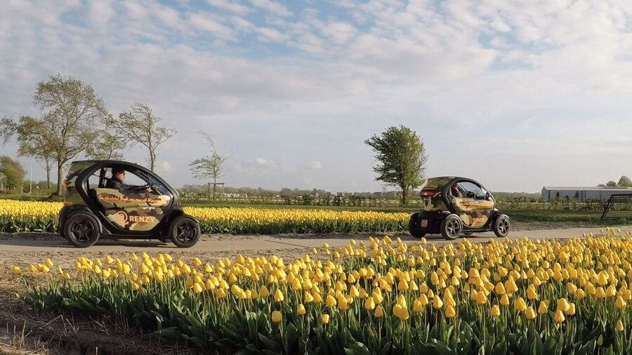 Lisse: Self-Guided Tulip Fields GPS Audio Tour - Who should skip this experience