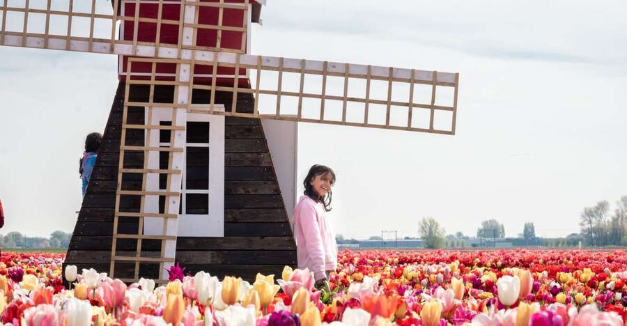 Lisse: Tulip Experience Ticket with Tulip Garden and Museum - Why this tulip stop feels different from Keukenhof