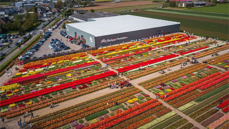 Lisse: Tulip Experience Ticket with Tulip Garden and Museum - How much time should you allow?