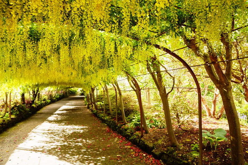 Llandudno: Snowdonia Bodnant Gardens & Castles Private Tour - Conwy: castle walls, an estuary and a tiny house