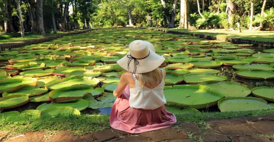 local Market,Botanical garden,Rum tasting & authentic Lunch - Key points to know before you book