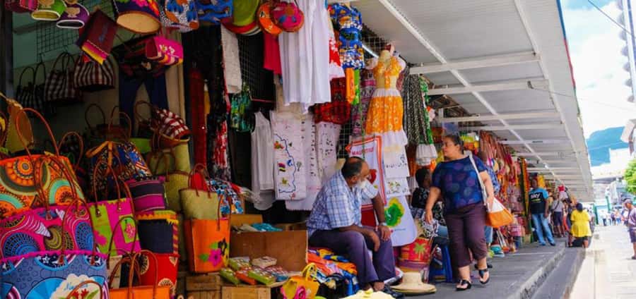 local Market,Botanical garden,Rum tasting & authentic Lunch - What the private format means in practice