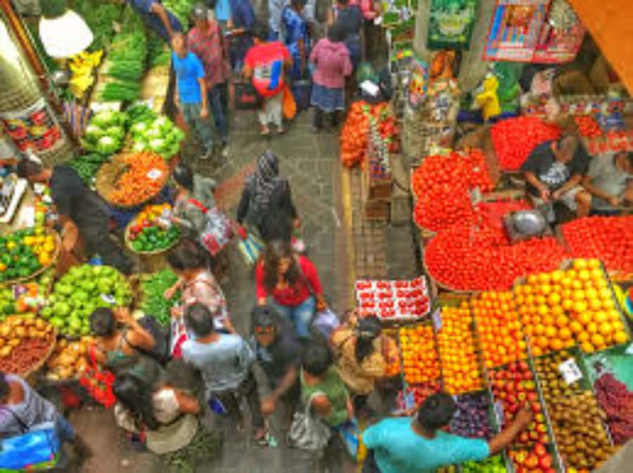 local Market,Botanical garden,Rum tasting & authentic Lunch - Guide language and the personal feel of the day