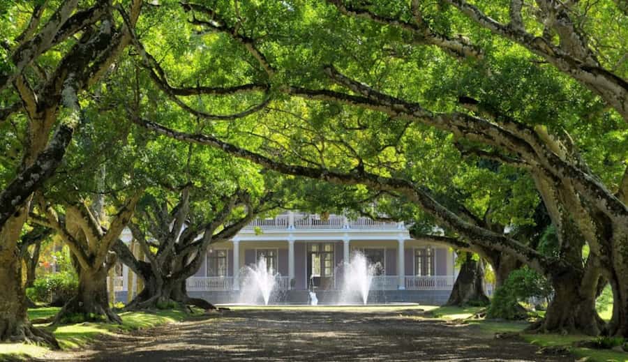 local Market,Botanical garden,Rum tasting & authentic Lunch - Caudan Waterfront adds a polished side of the capital
