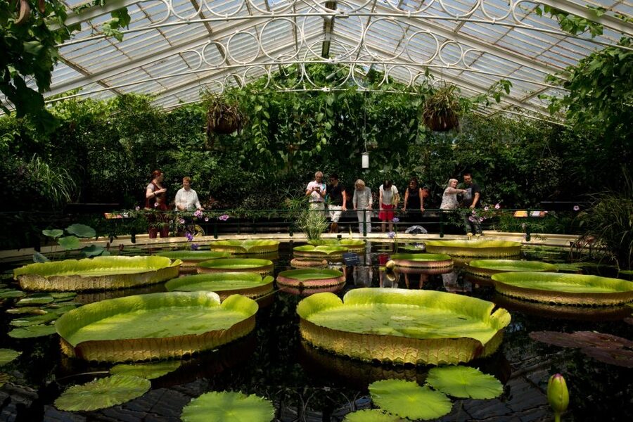 London: Kew Gardens Admission Ticket - Who will enjoy Kew most