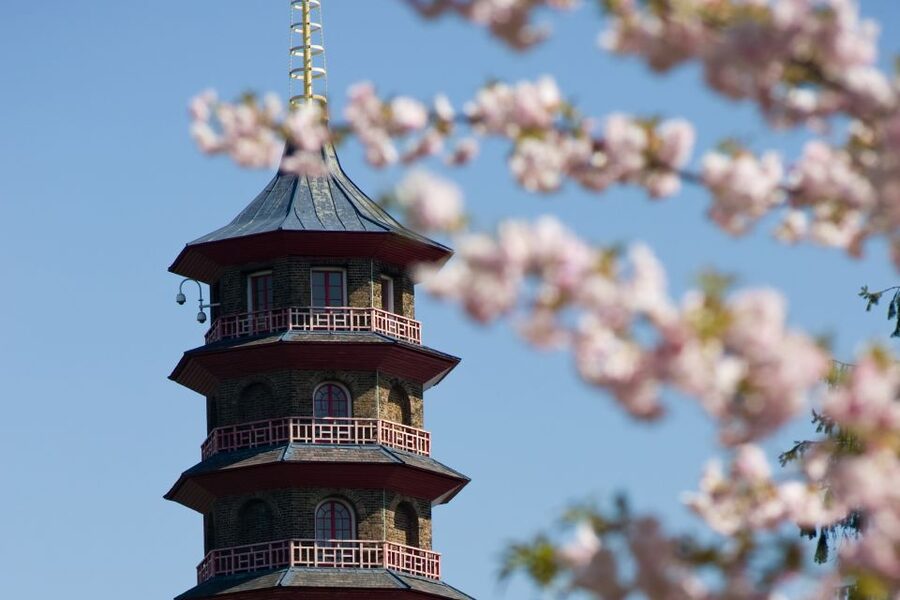 London: Kew Gardens Admission Ticket - Why Kew Gardens needs a full day
