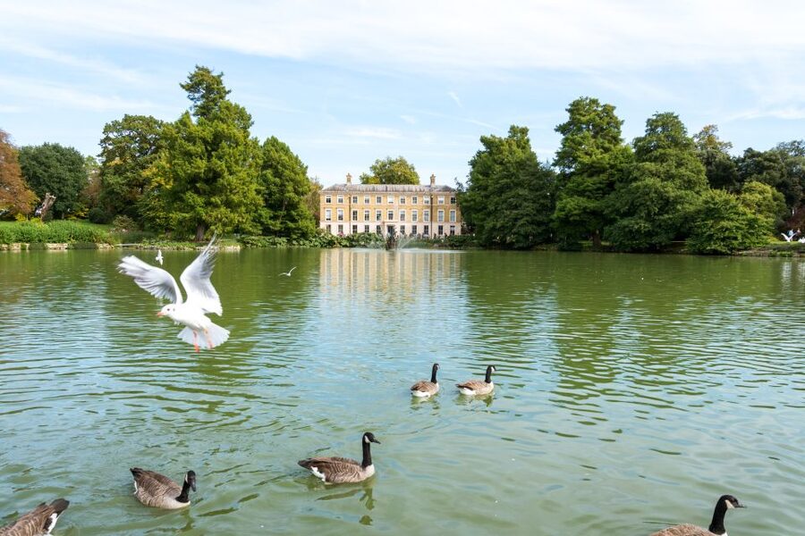 London: Kew Gardens Admission Ticket - The Hive, where bees become the main event