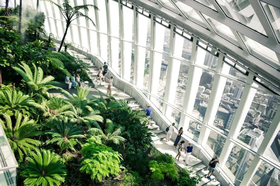 London: Sky Garden Early Access with Pastry and Hot Drink - Key points to know before booking