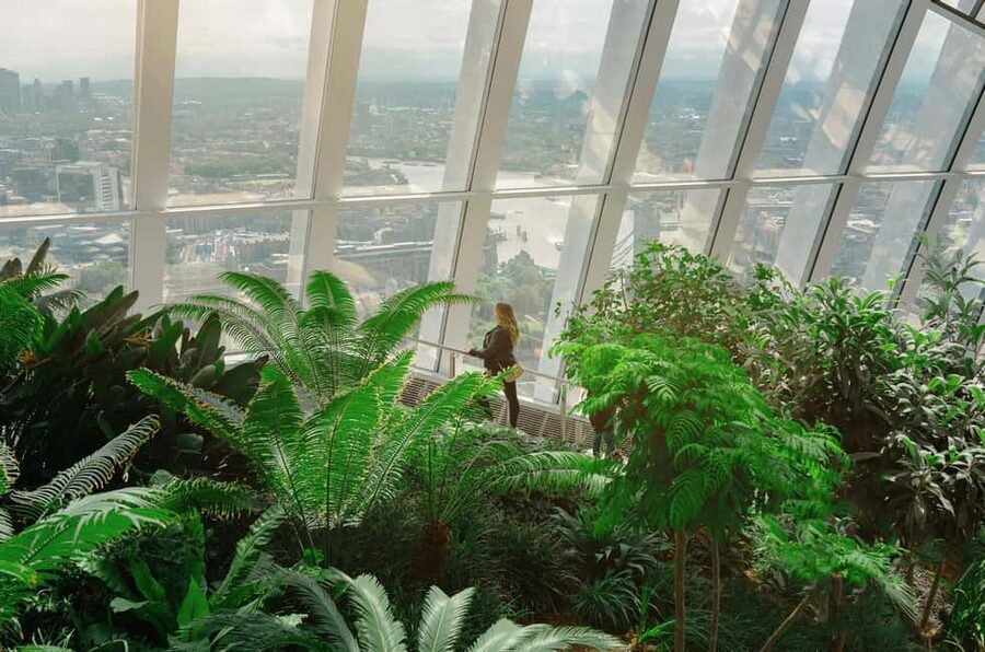 London: Sky Garden Early Access with Pastry and Hot Drink - Is $19 a good value?