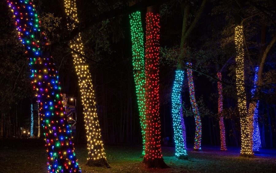 Longwood Gardens Holiday Lights Tour from Philadelphia - Key Points