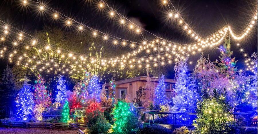 Longwood Gardens Holiday Lights Tour from Philadelphia - Why the Philadelphia Departure Matters