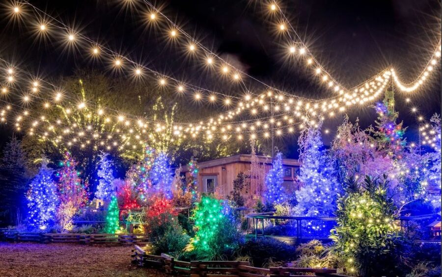Longwood Gardens Holiday Lights Tour from Philadelphia - Entering Longwood’s Holiday Display