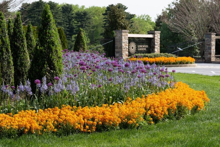 Longwood Gardens Holiday Lights Tour from Philadelphia - Is $149 a Fair Price?