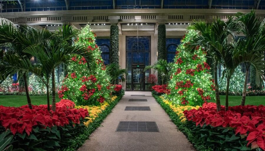 Longwood Gardens Holiday Lights Tour from Philadelphia - Who Will Enjoy This Tour Most?